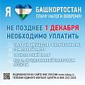 Баннер 2.jpg